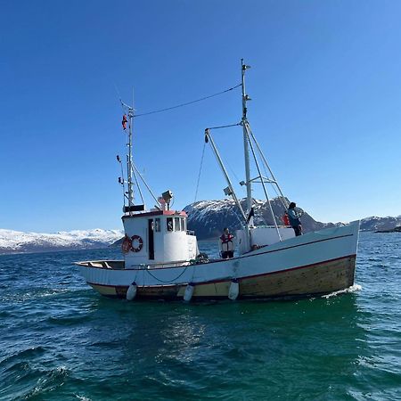 Maribell Sjobuer As Lejlighed Tromsø Eksteriør billede