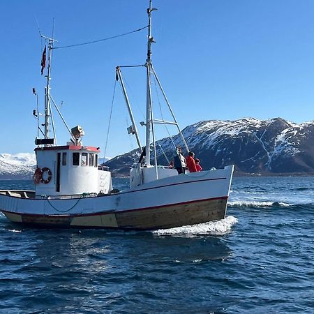 Maribell Sjobuer As Lejlighed Tromsø Eksteriør billede